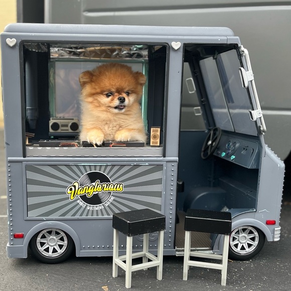 Meet your Posher, Rhenan - Picture 4 of 9